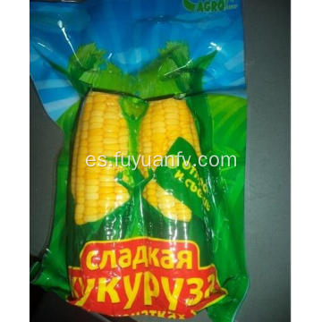 Fresh hotsale sweet corn dos piezas juntas